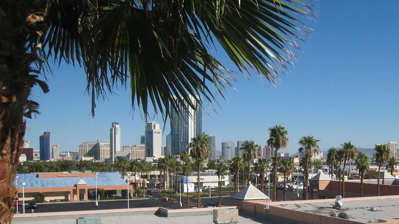 3980 Delos Drive - 1