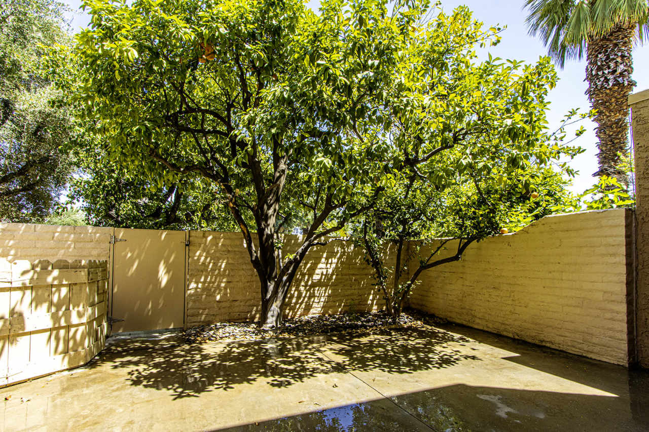 5884 Los Santos Drive