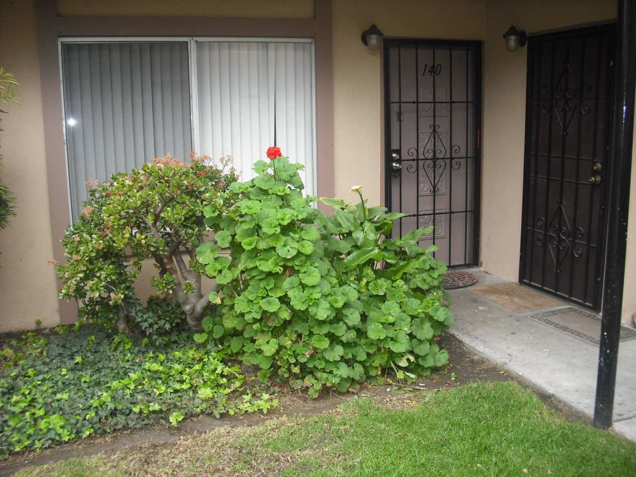 Wonderful 1 bedroom ground floor condo