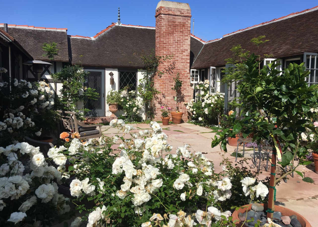 Luxurious 2BD | 2BA + Beachfront Property