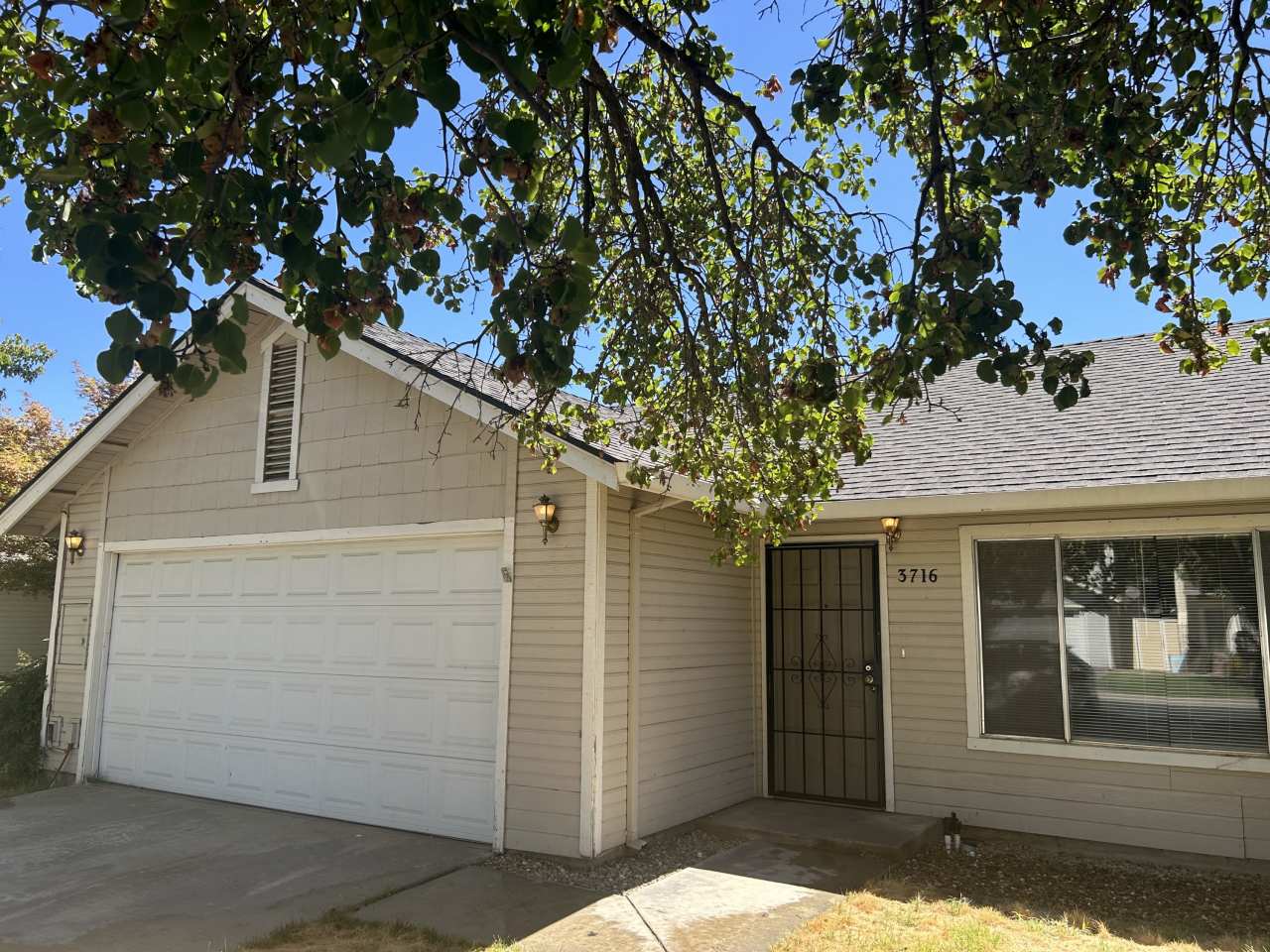 3716 Terneuzen Avenue