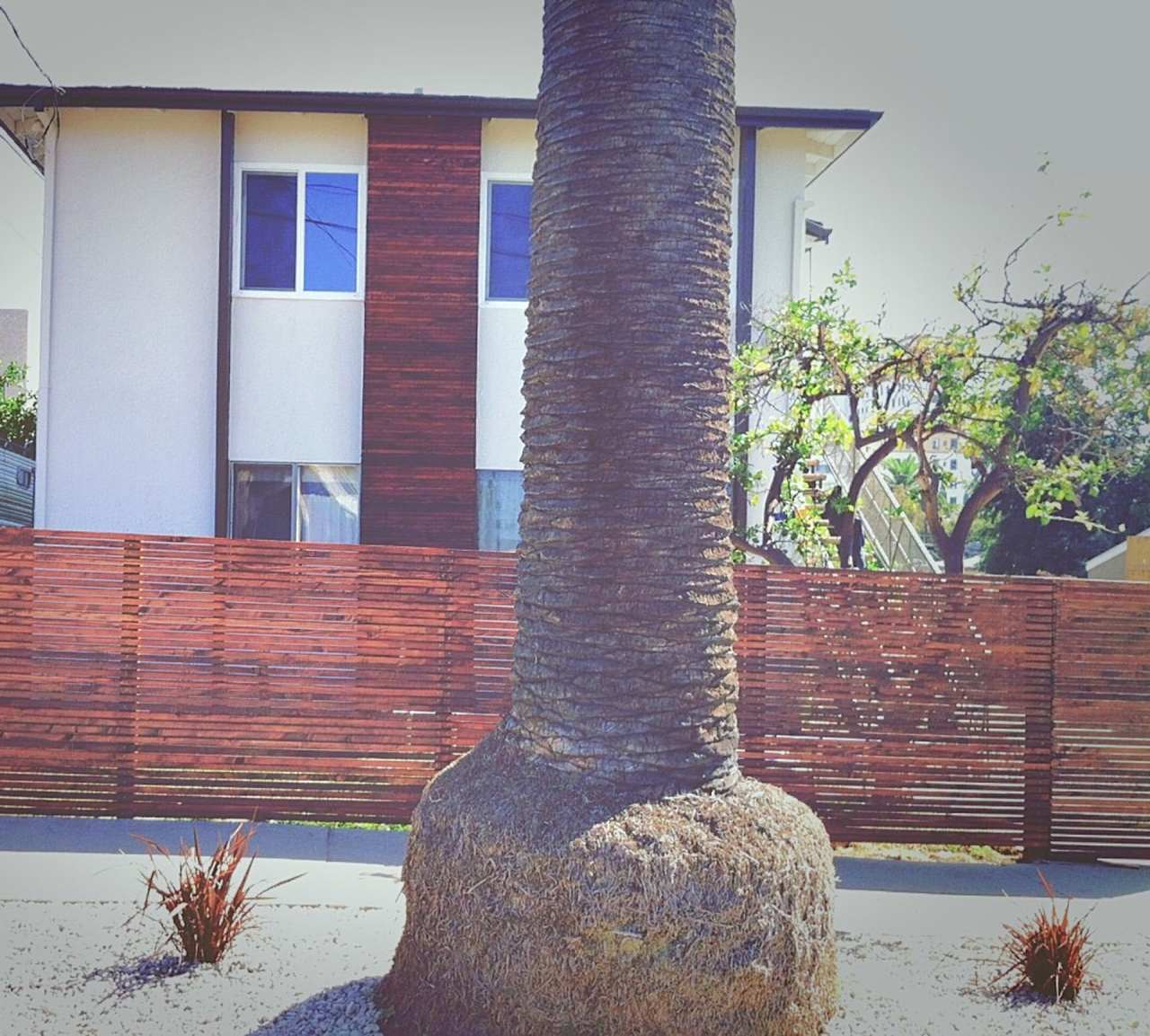 This upstairs 2 bed / 1 bath apartment in Echo Park is now available - Includes private parking and in-unit laundry!