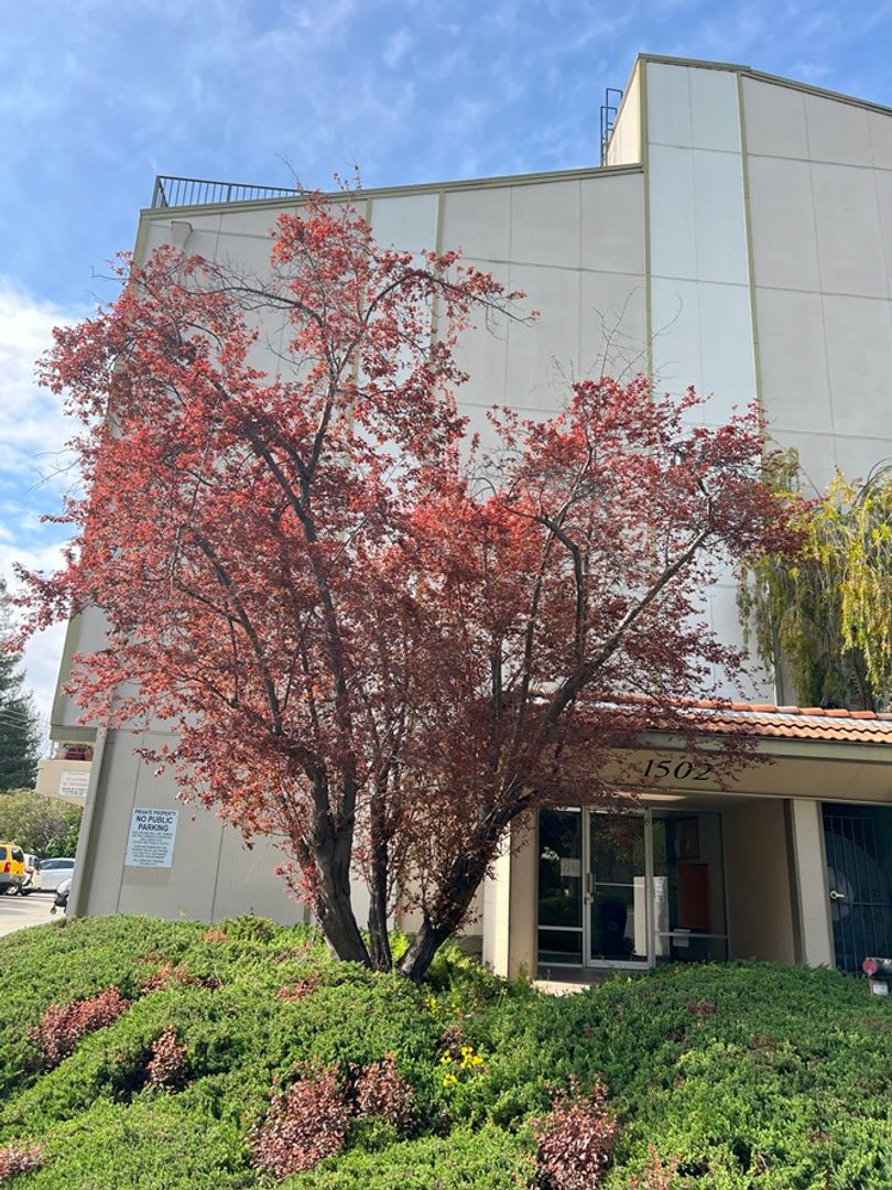 HUGE ROOMS AND GREAT LOCATION!