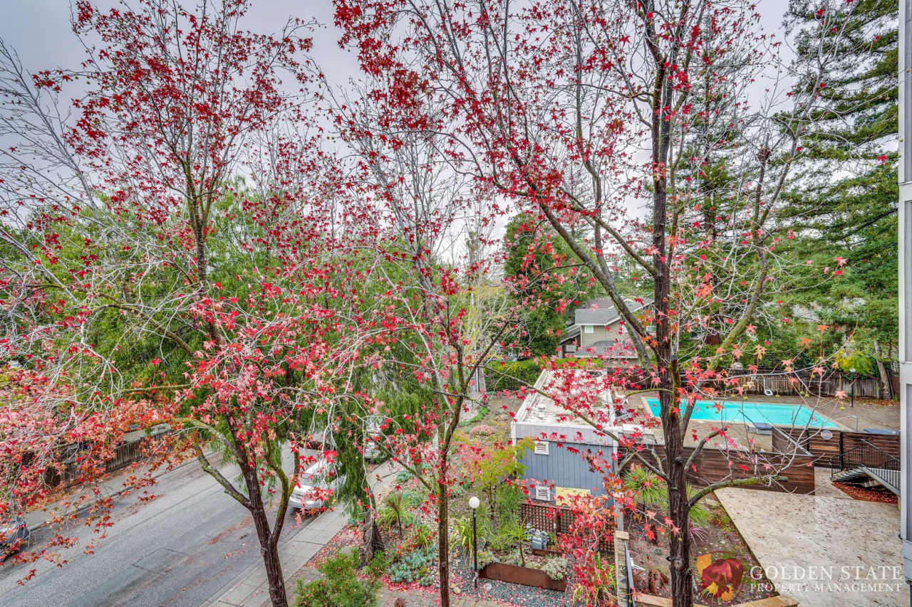 Beautiful Top Floor Condo in Prime Mountain View Location