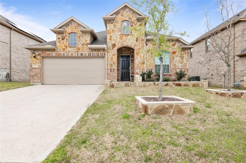 2371 Canary Grass