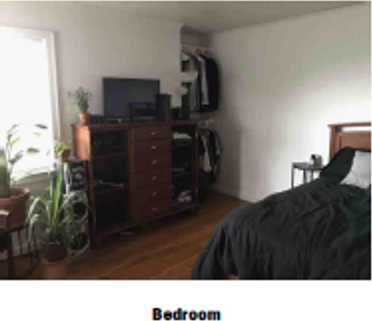 4 Bed 2 Bath - Secluded at I-20  Hwy 167