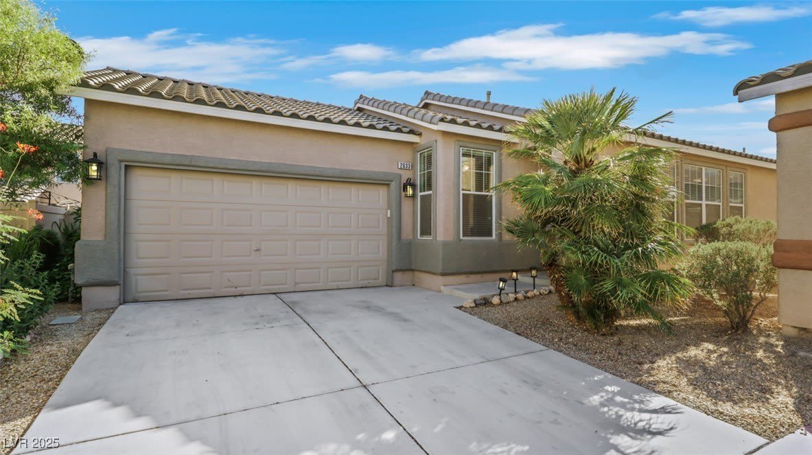 2633 Spider Cactus Court