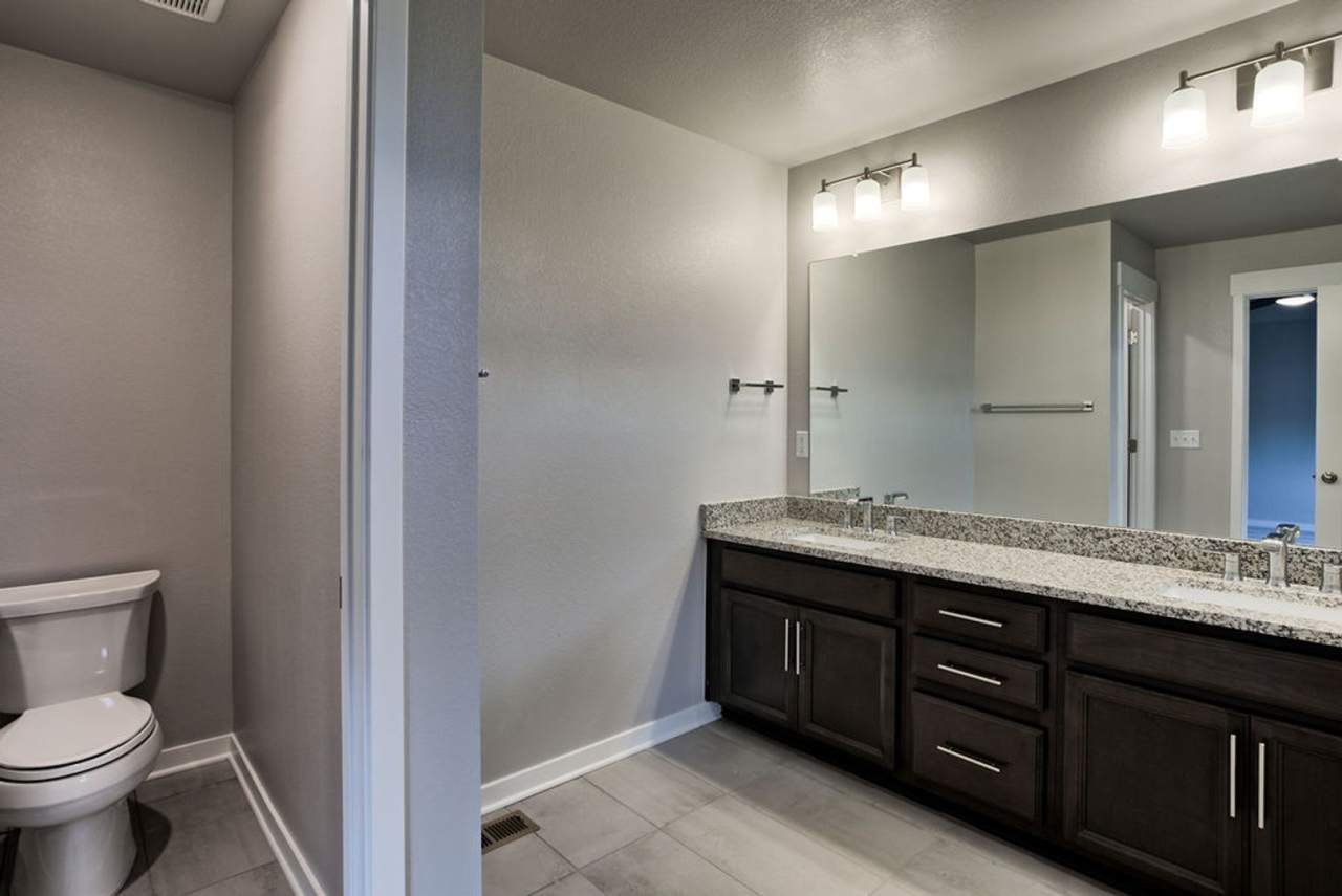 Beautiful Home in Desirable Timnath!