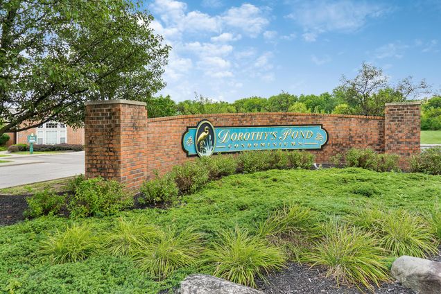 6749 Dorothy's Creek