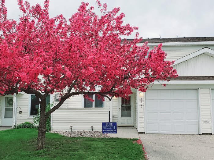 2525 South 40th Street