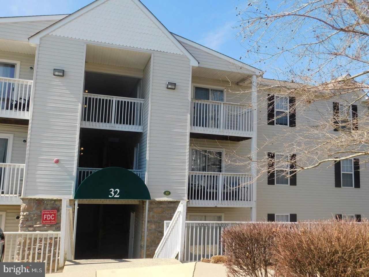 32 WHITE PINE Circle unit: 203