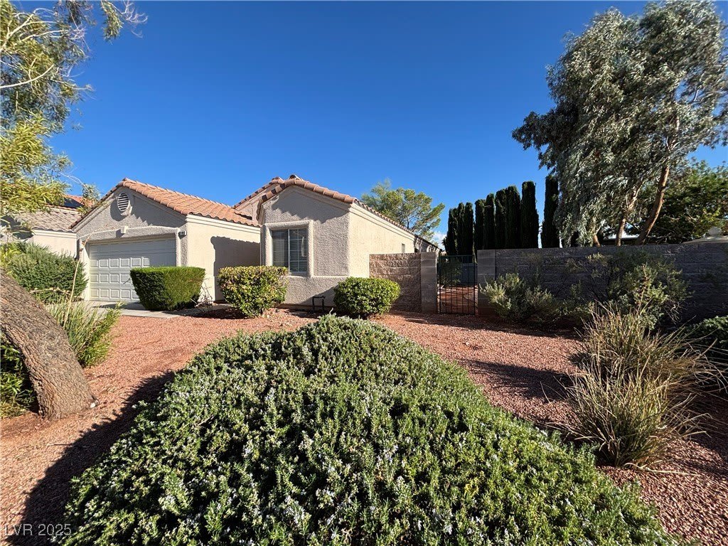 3193 Castle Canyon Avenue