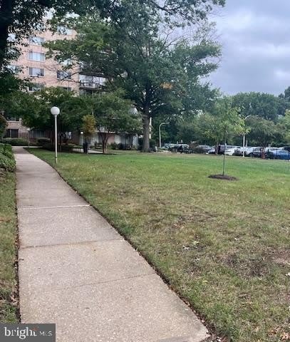 4410 OGLETHORPE unit: 717