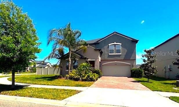 25072 LAMBRUSCO LOOP