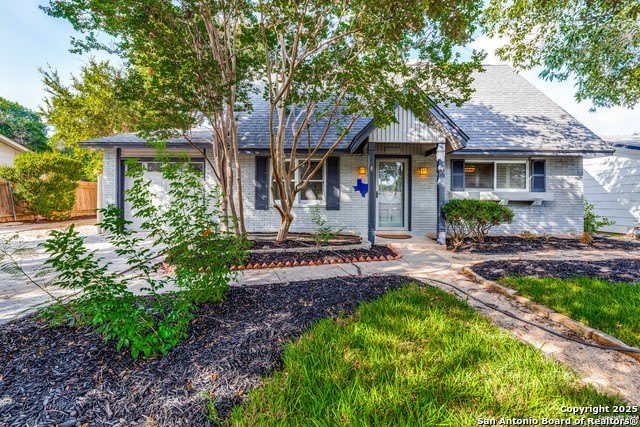 3139 Whitewing