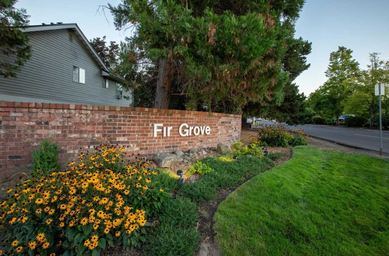 Fir Grove