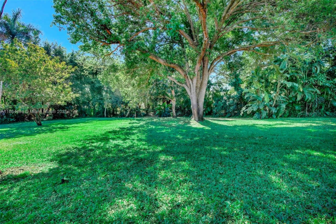 100 N Hibiscus Court