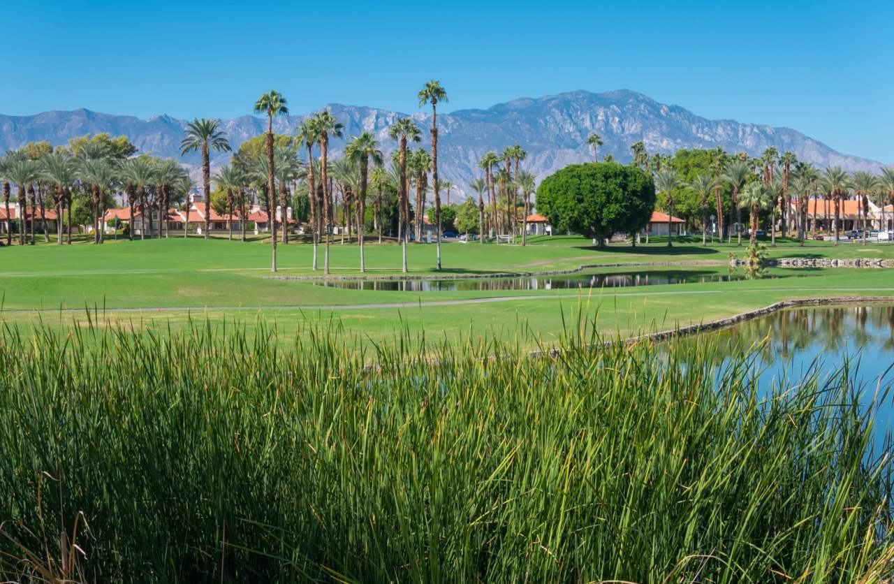 131 Desert Falls Circle