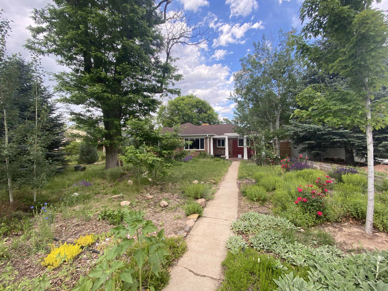 2880 Krameria Street