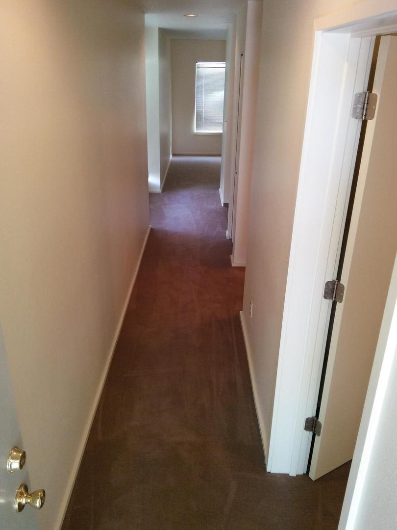 (343) Palatine Apartments 1 Bed / 1 Bath