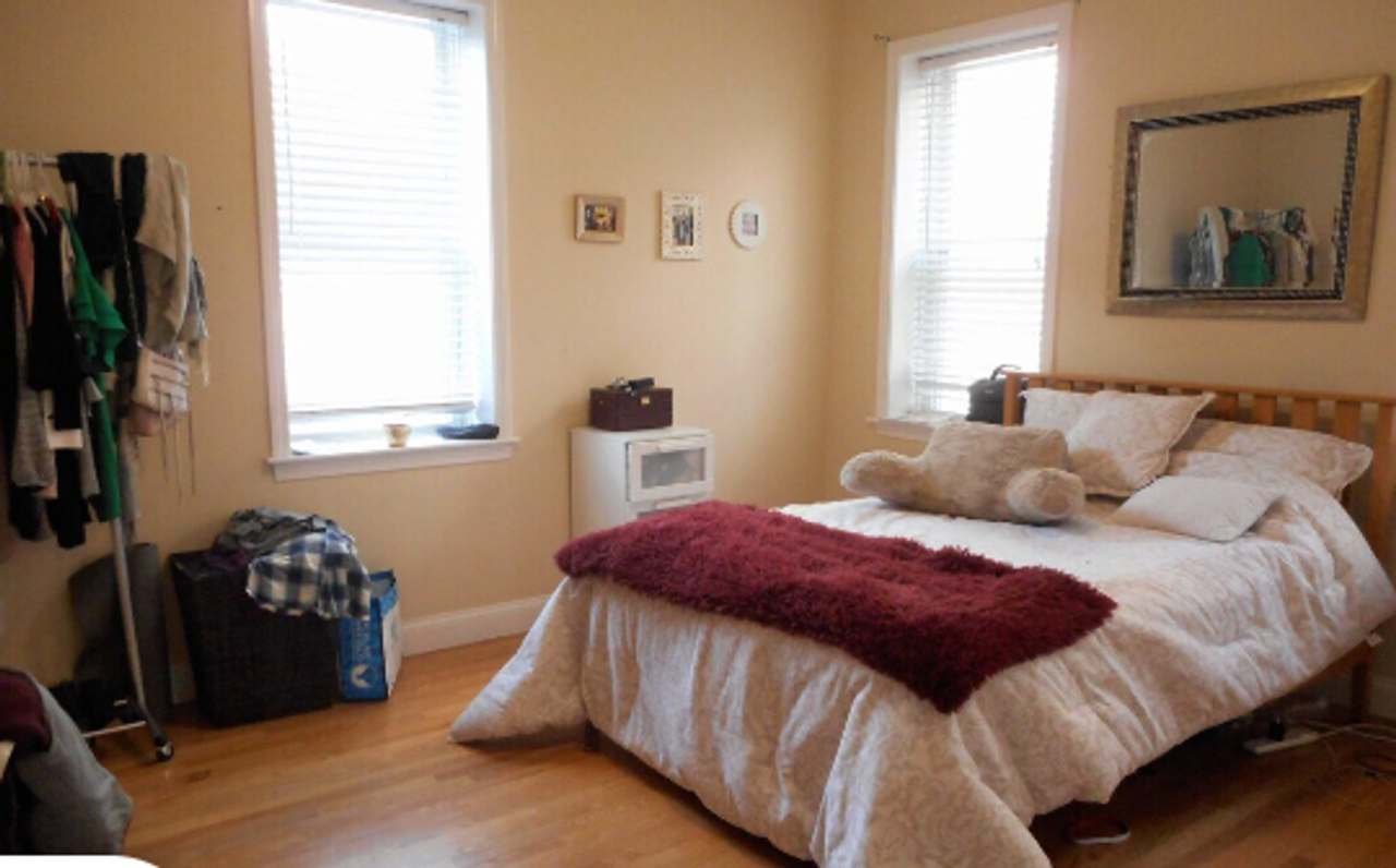 Perfect South Campus Apt for Boston University Students!
