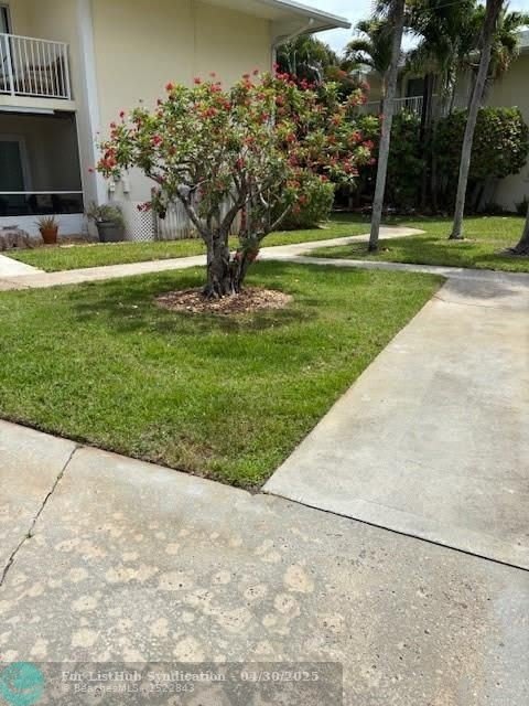 805 Hummingbird Way