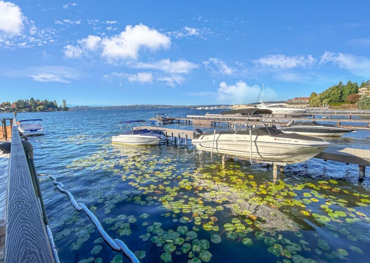 1Bd/1Ba Kirkland Condo