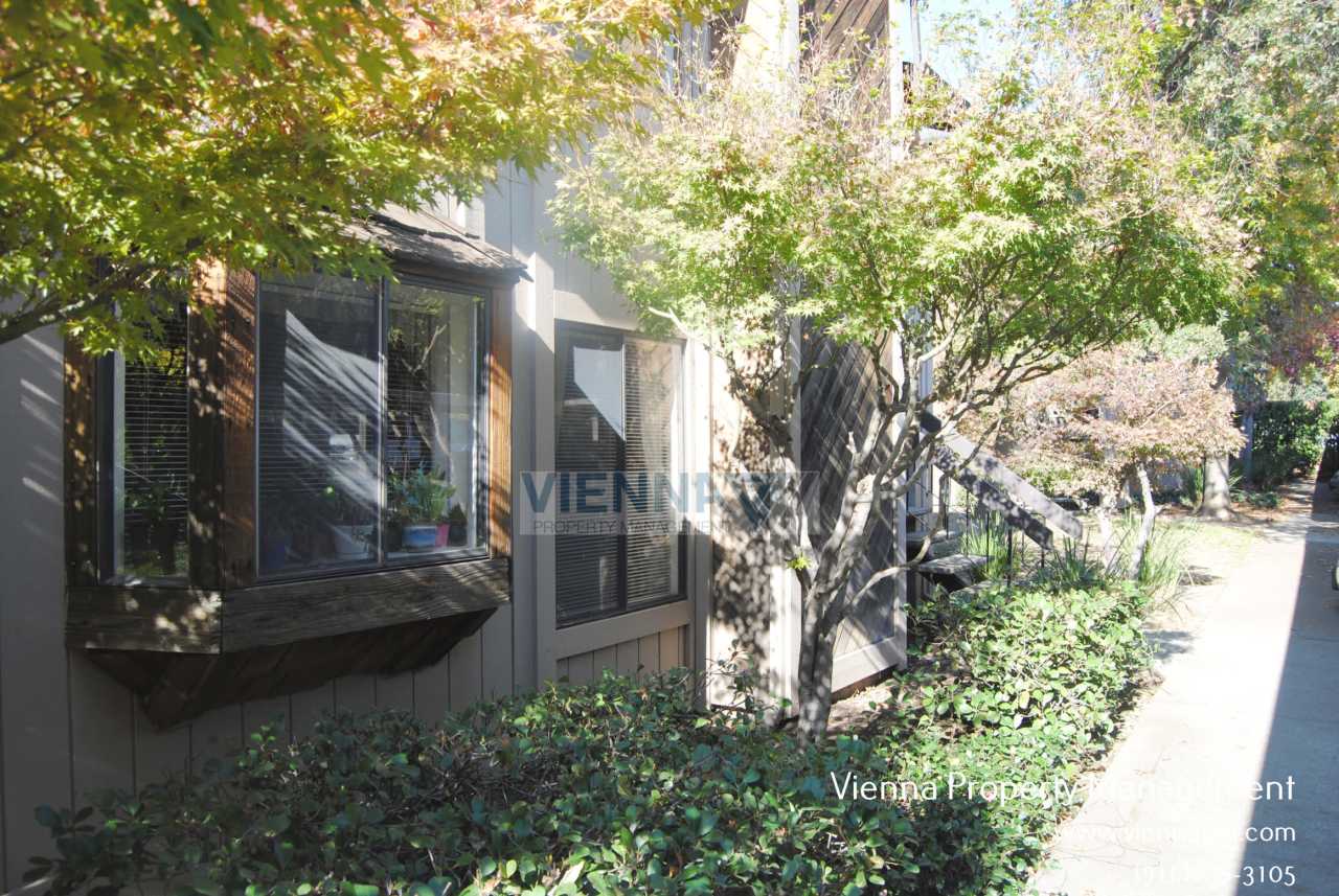 5333 Primrose Dr Apt 31A