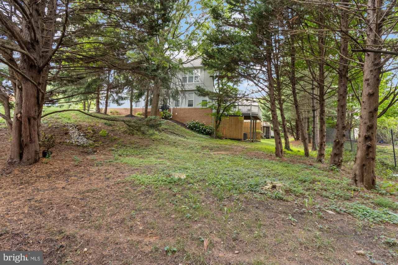 8806 HOWARD FOREST Lane unit: 8806