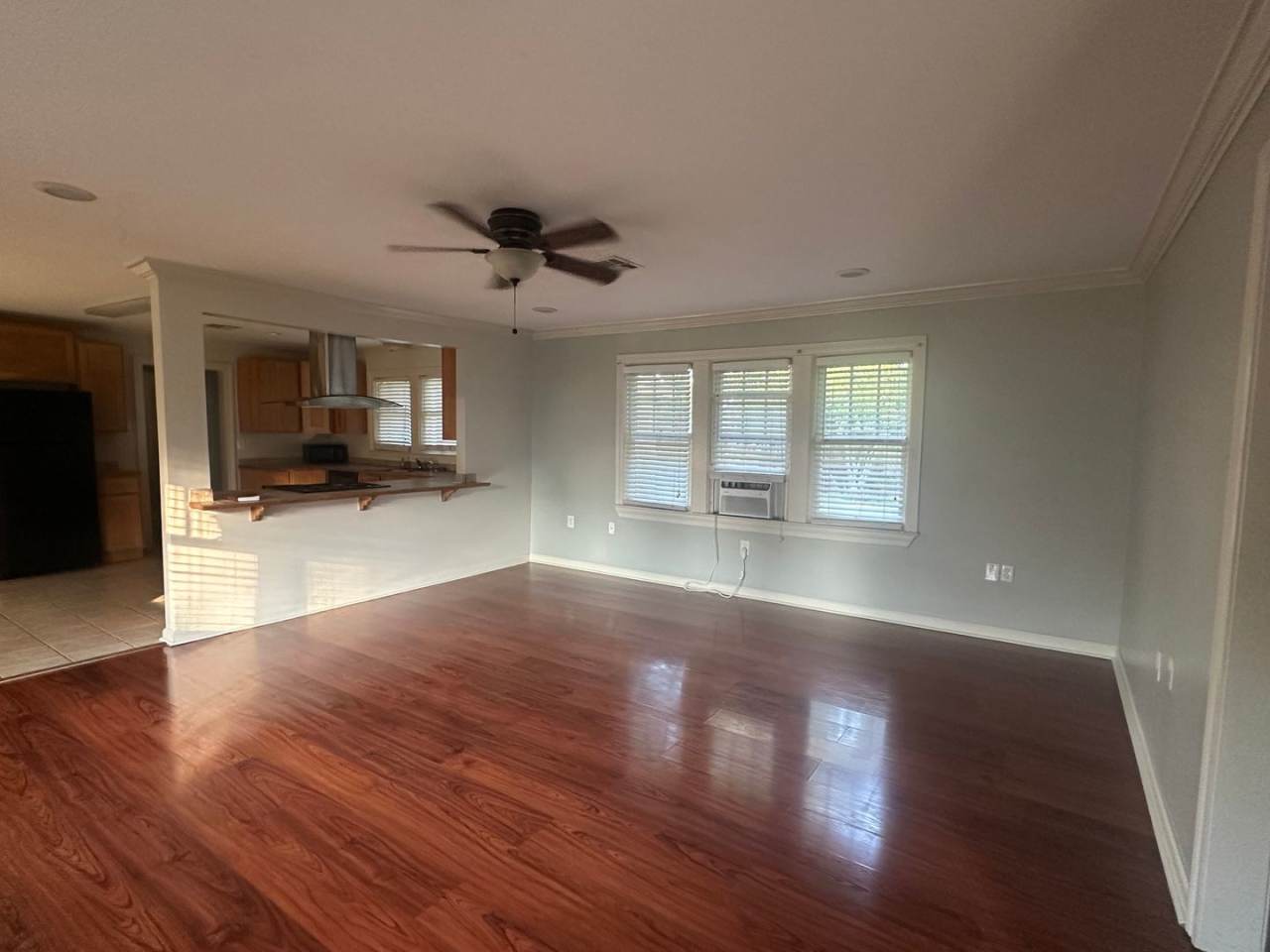 Available Now Near UL!