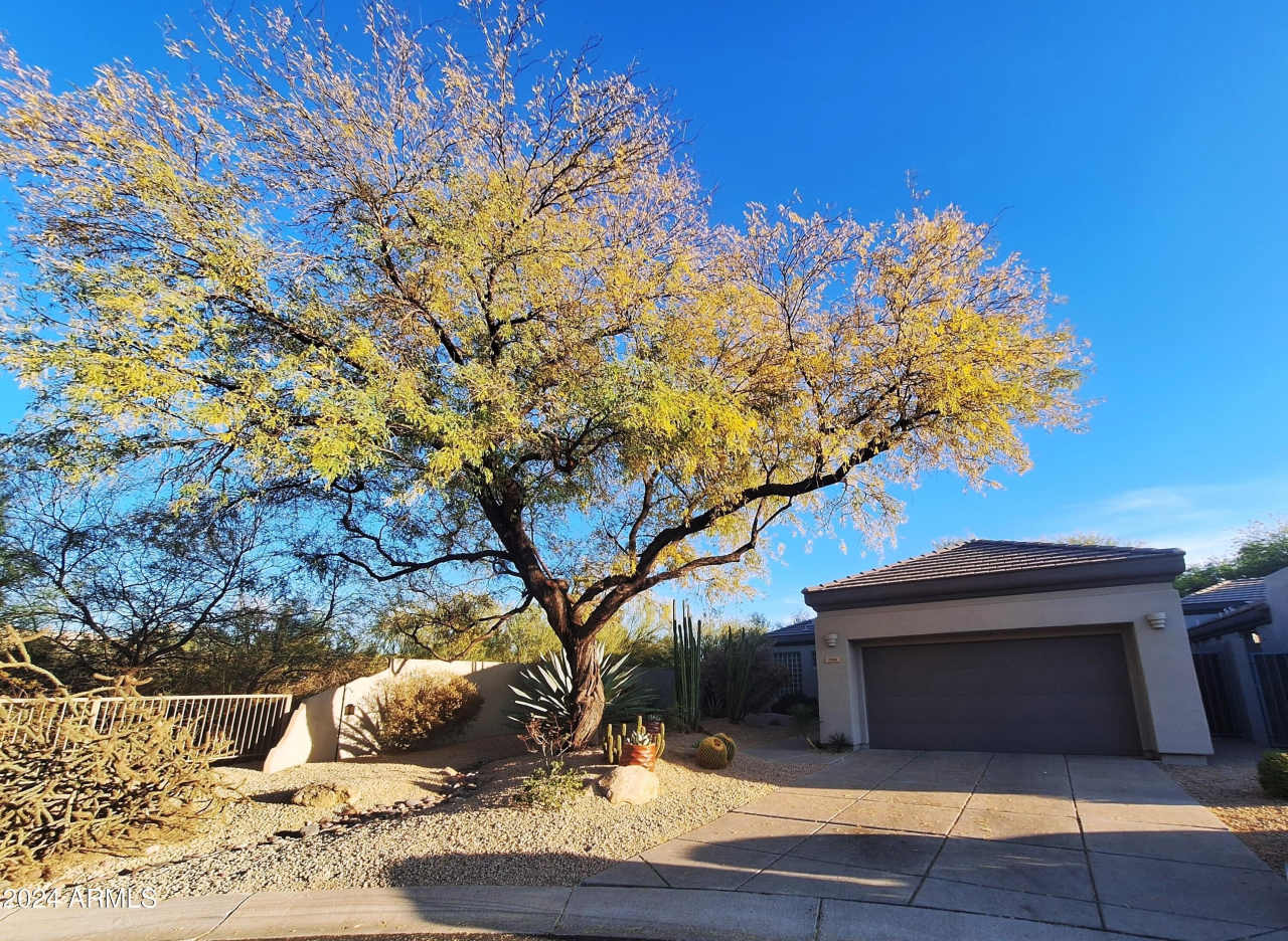 7089 E WHISPERING MESQUITE Trail