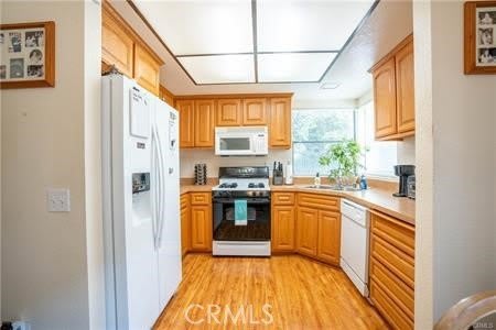 22861 Hilton Head Drive