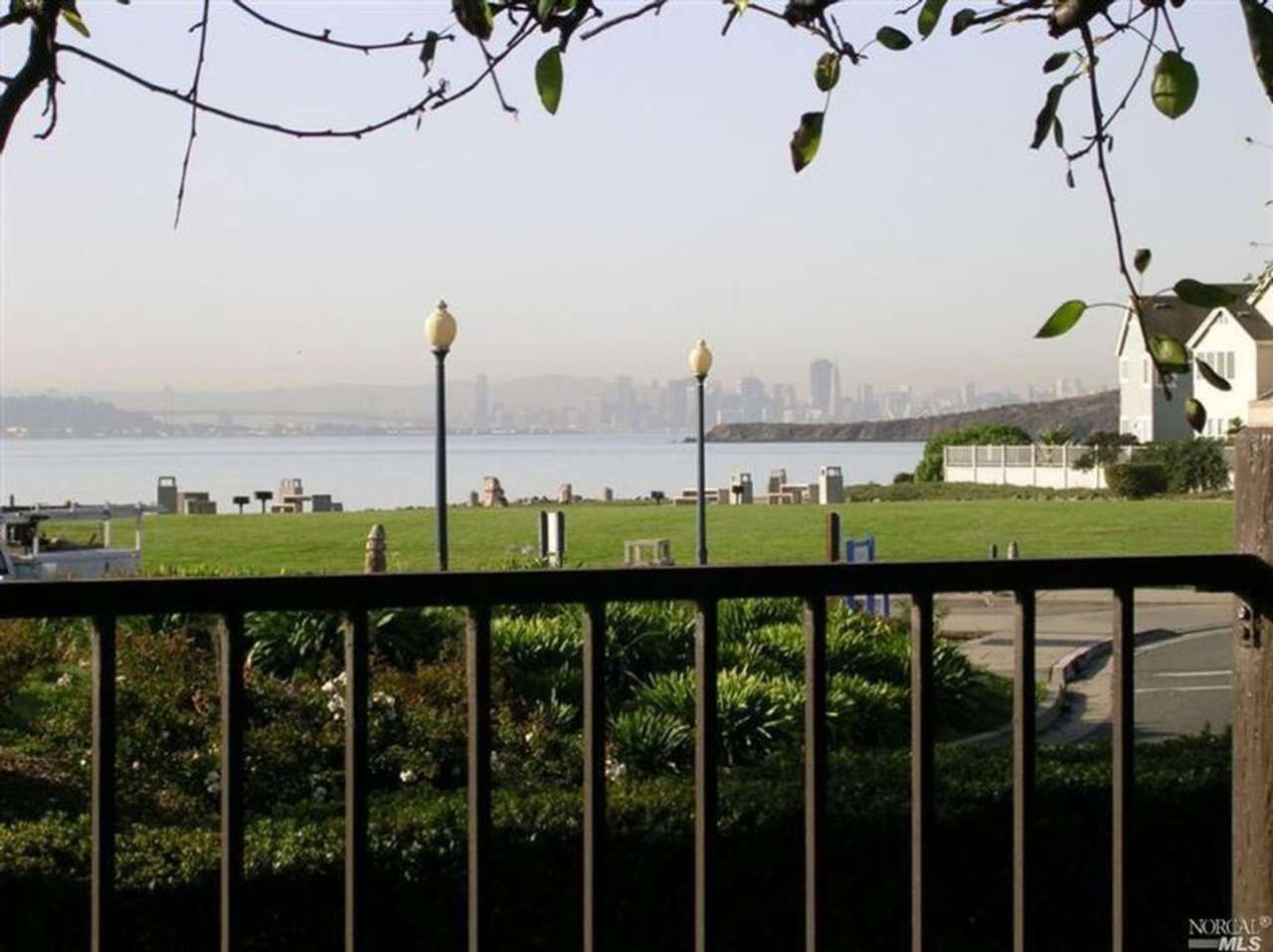 The Shores