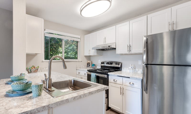 Avana Chestnut Hill