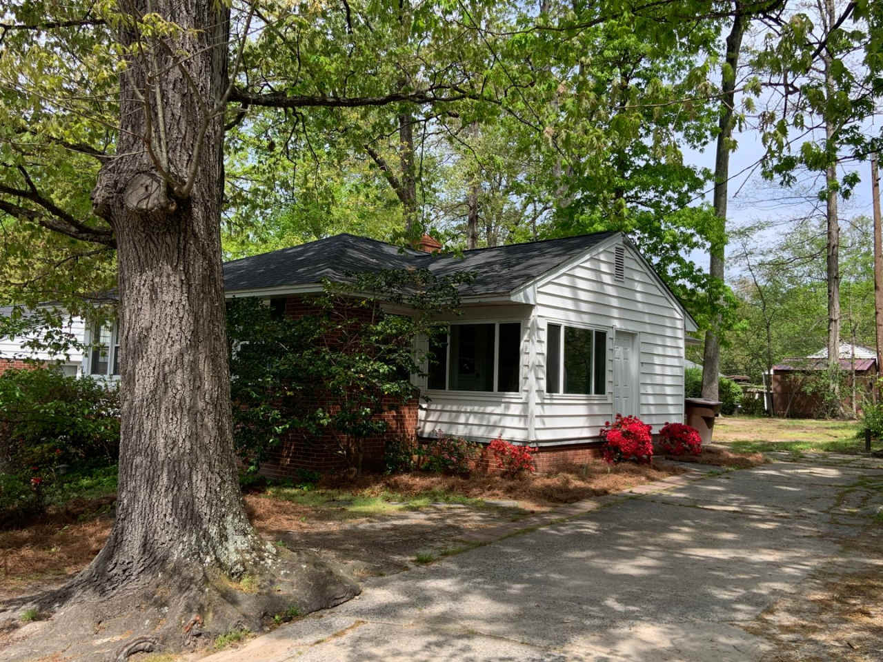 Adorable 3 Bedroom in College Hill