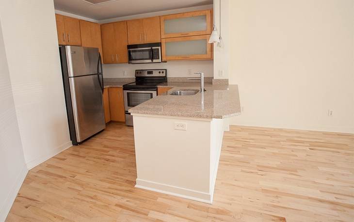 242 East Water Street Suite 101