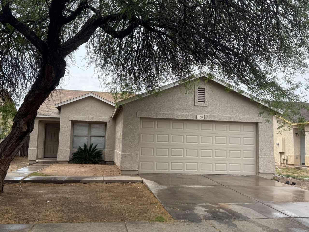 El Mirage 3 bed, 1 bath, 2 car garage, Fresh paint and carpet