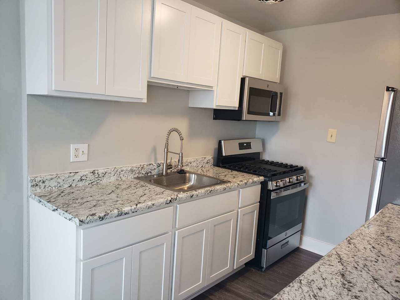 Swift at Riverdale Park