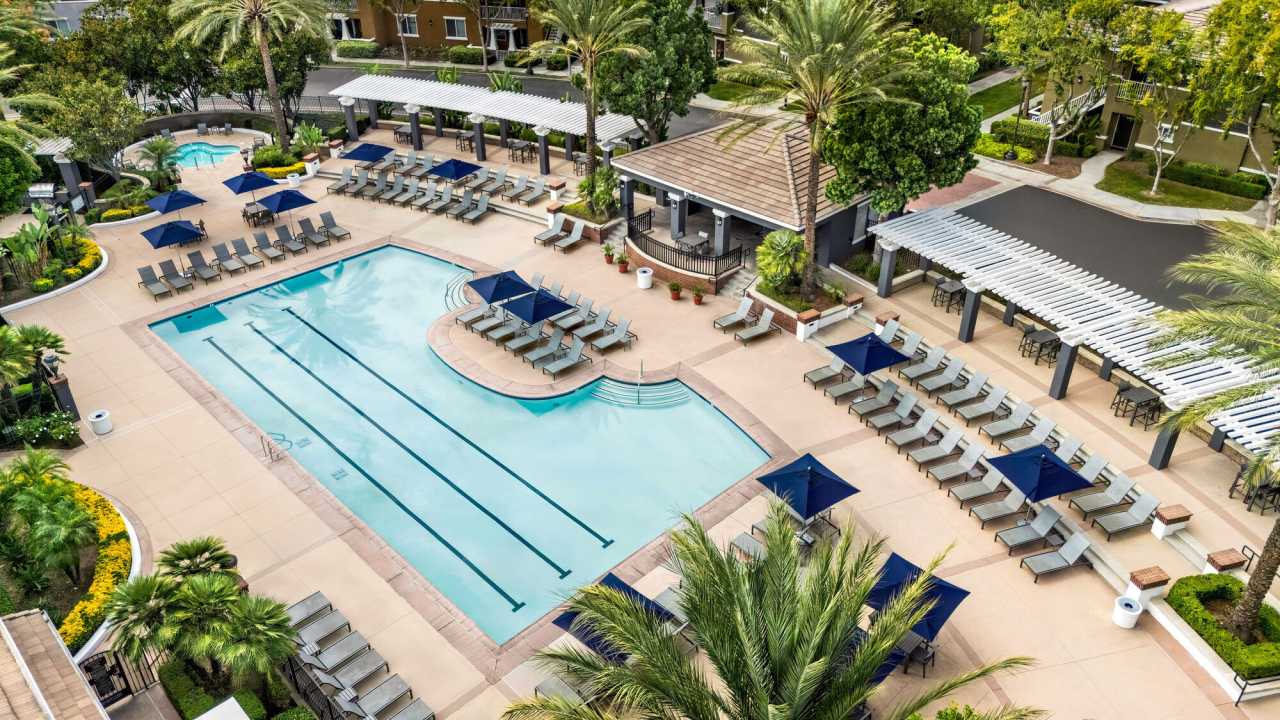 Homecoming At Terra Vista