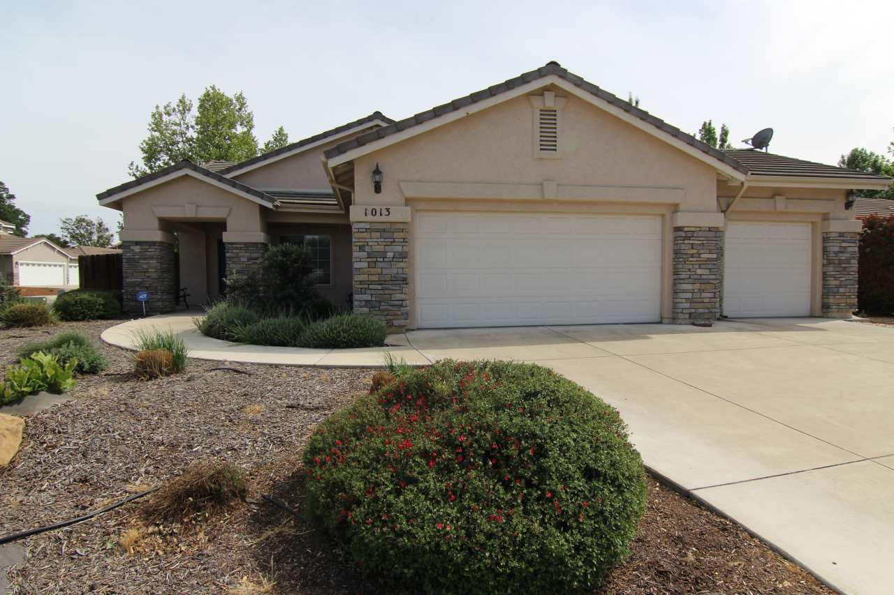 1013 Running Stag Way