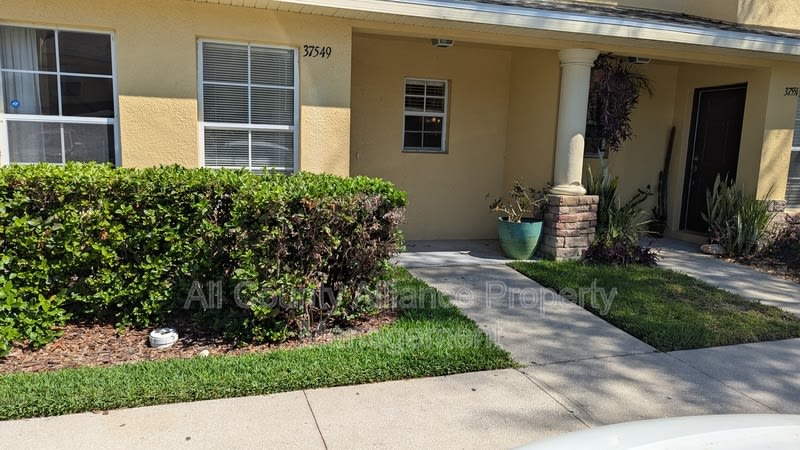 37549 Daliha Terrace