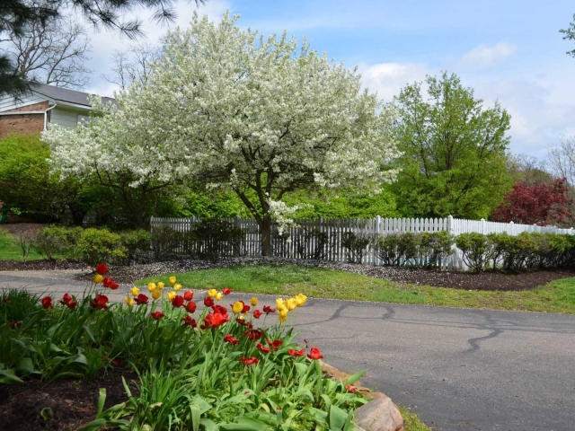 220 Fulmer Ave. Unit D12