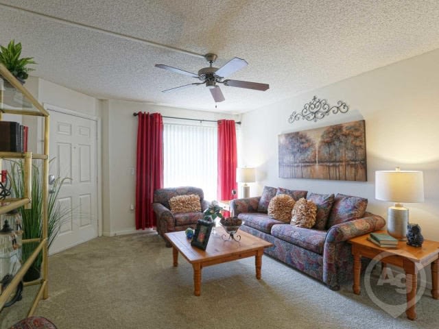 Timber Chase at Sarasota Bay