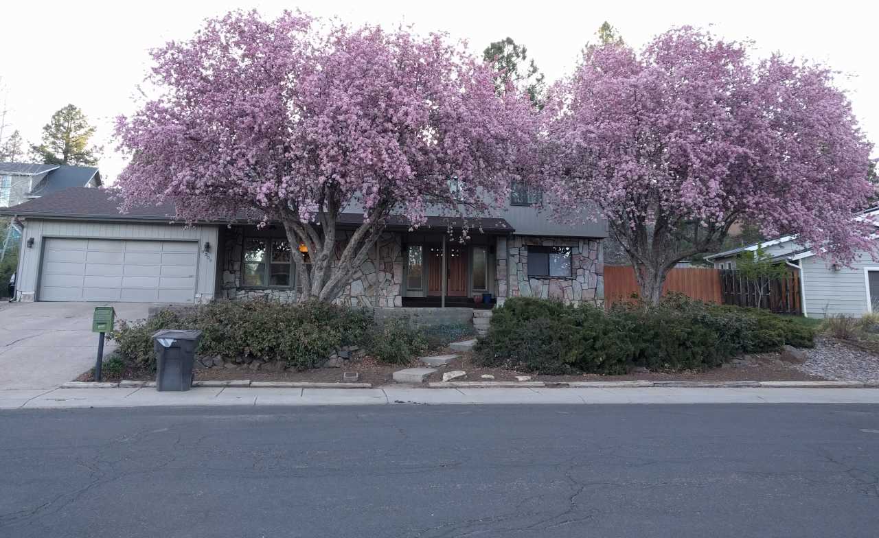 1309 North Aztec Street