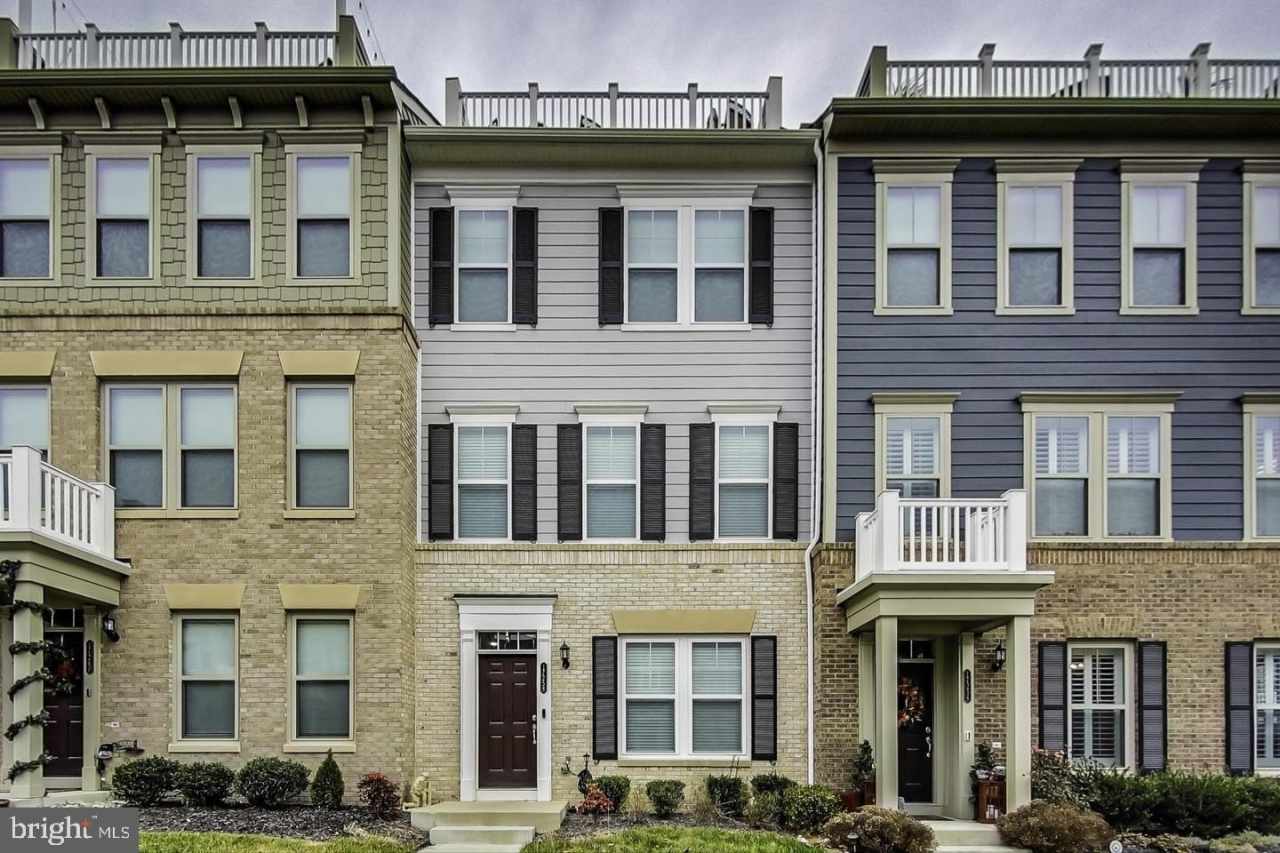 17258 HERRING GULL Lane