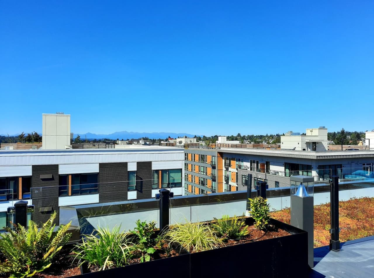 Our Newest Luxury Studios in Ballard!