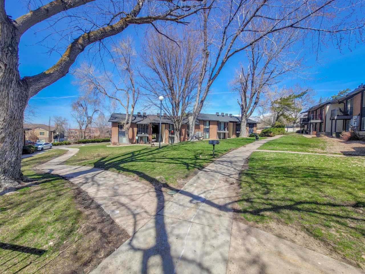 Orchard Gardens (OG)