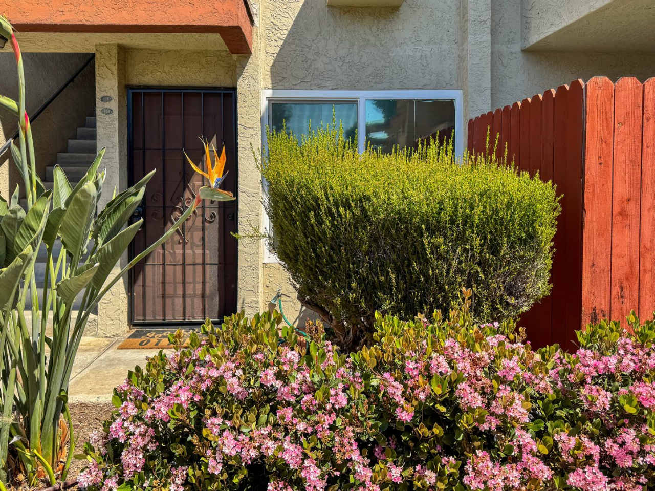 AVAILABLE NOW! Upgraded  Beautiful 1 Bedroom Condo For Rent in Carroll Canyon Gardens!