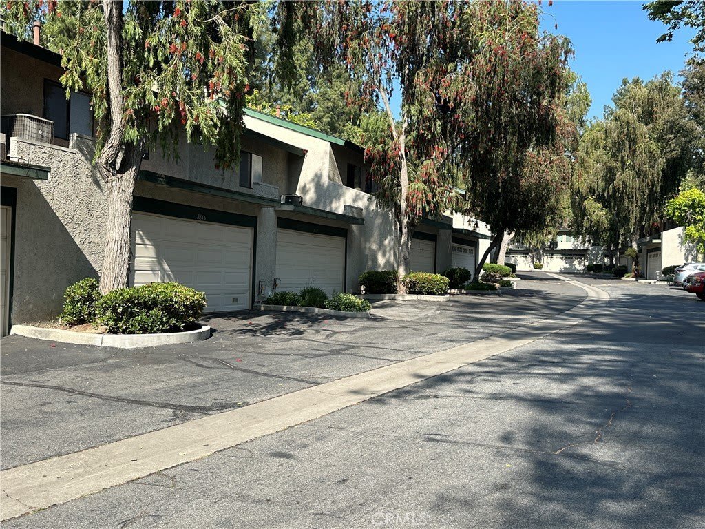 3851 Sycamore Street