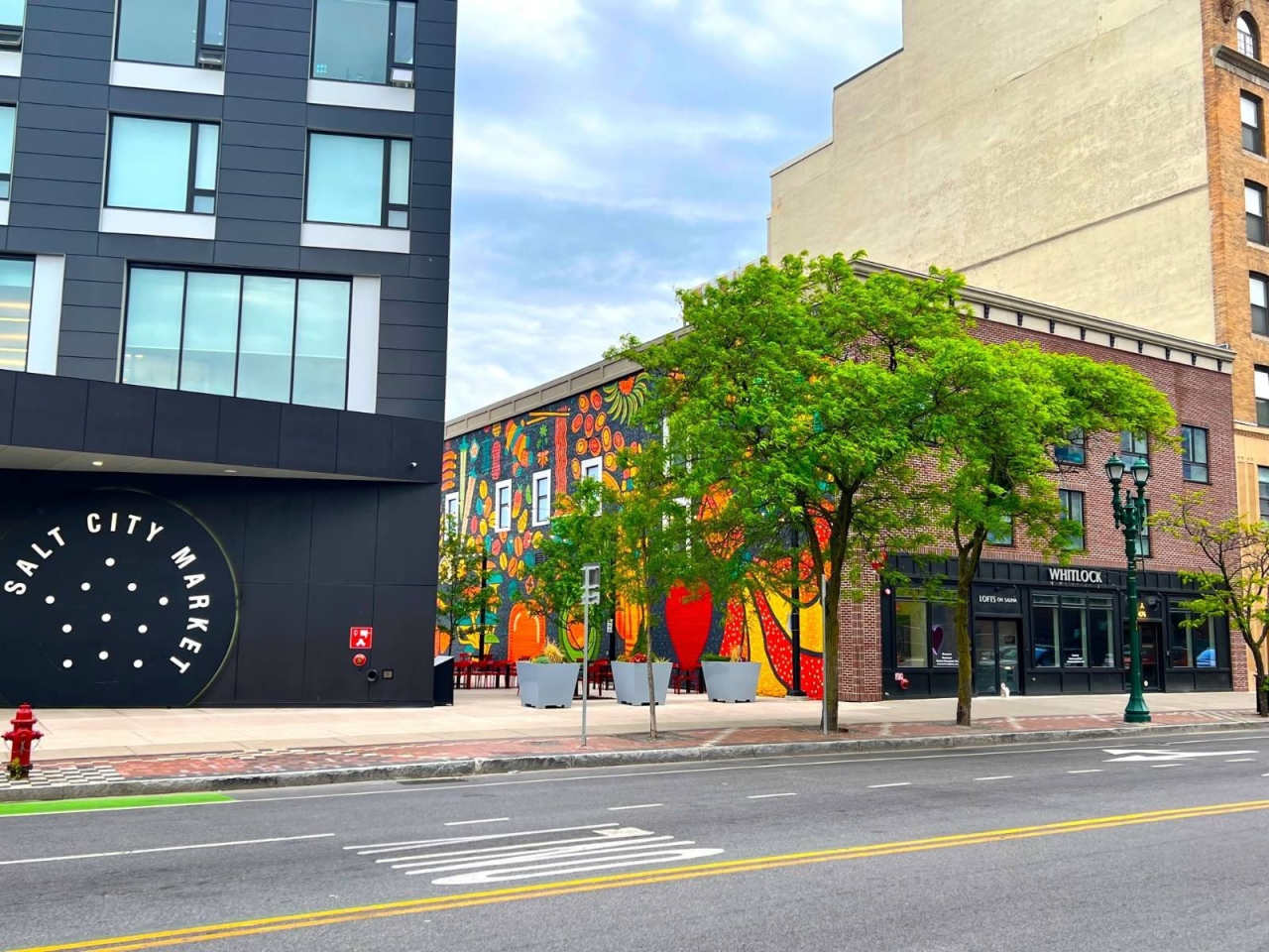 480 South Salina Street #202